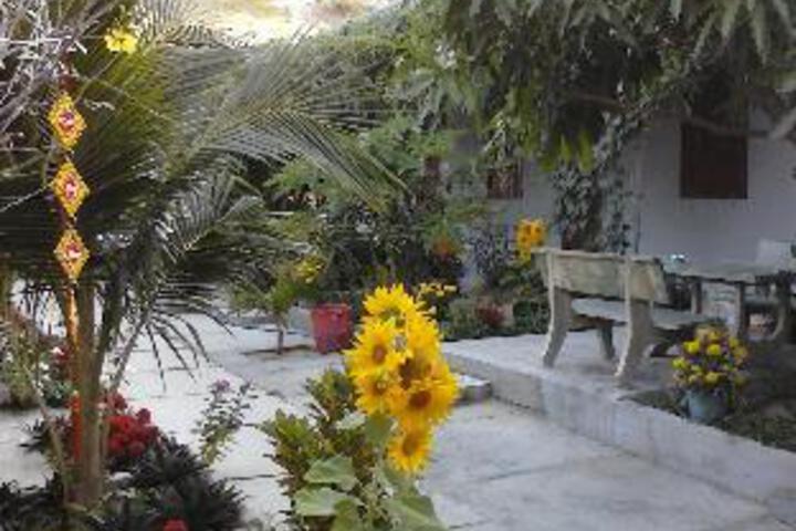 View