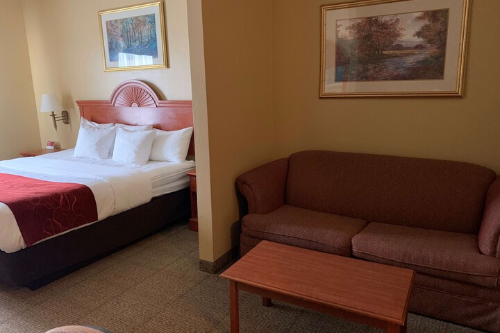 1 King Bed Flat Screen Television Microwave and Refrigerator High Speed Internet Accessible (8 of 11)