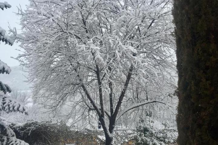 Photo 16