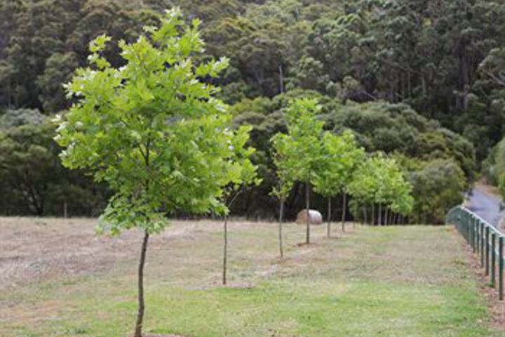 Property Grounds 23 of 25