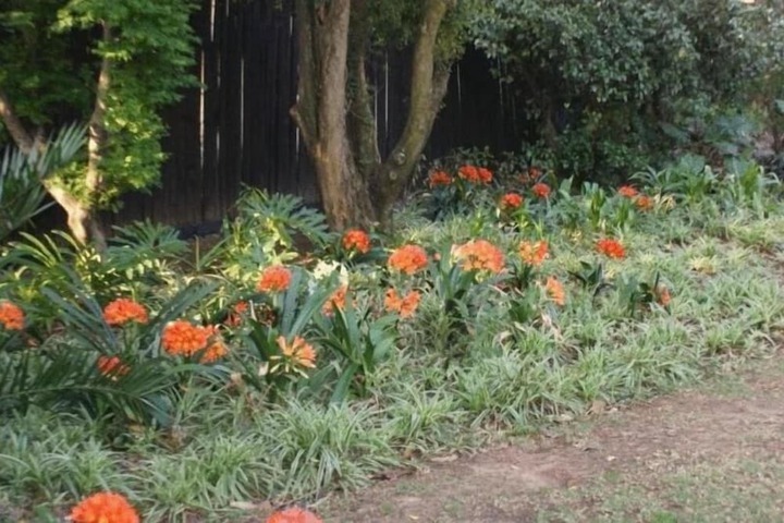 Property Grounds 19 of 27