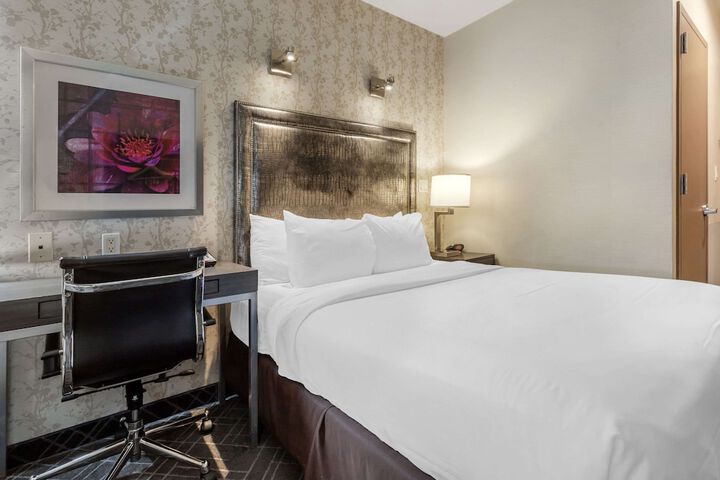 1 Queen Bed Basement Work Desk Refrigerator WiFi Coffee Tea Maker Continental Breakfast (7 of 7)