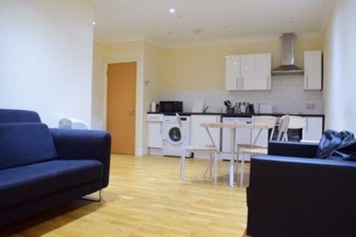 Minimalist Flat in Trendy Brixton