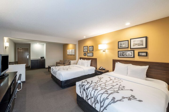 1 Queen Bed Accessible (3 of 14)
