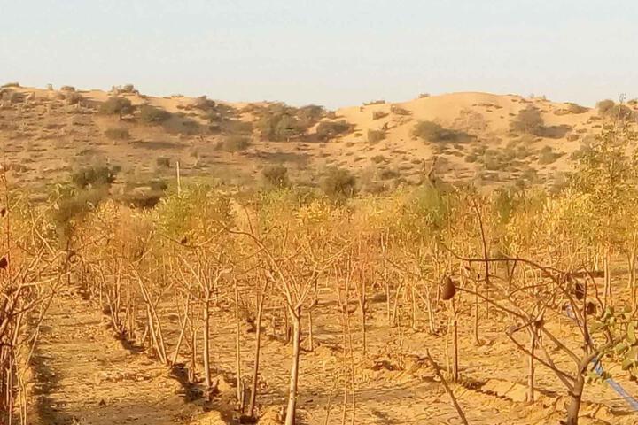 Image of Abhay Resort & Camp