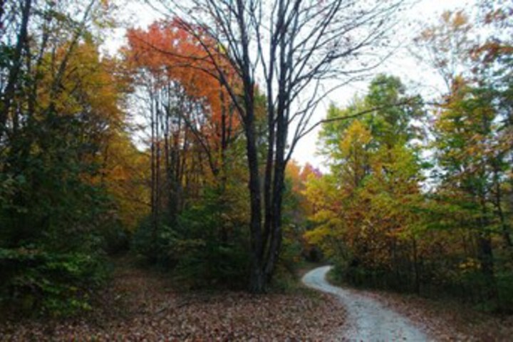 Property Grounds 17 of 32