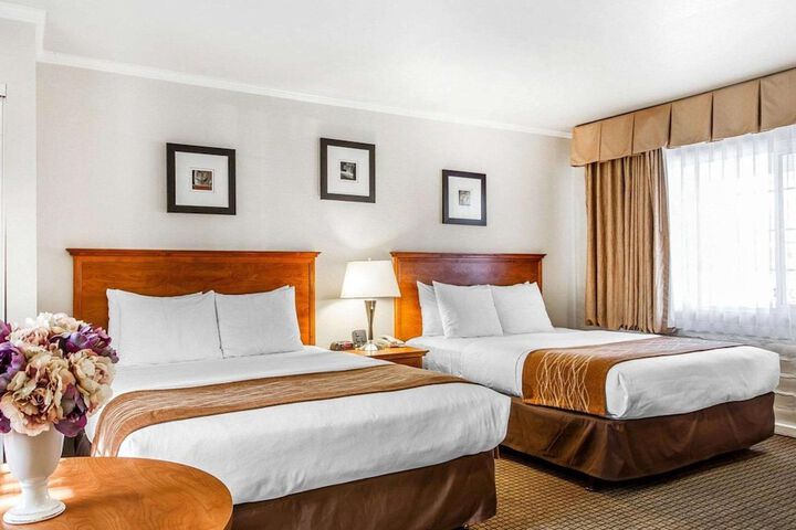 Double Accessible King Size Bed (5 of 15)