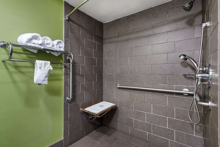 1 Queen Bed Accessible (7 of 12)