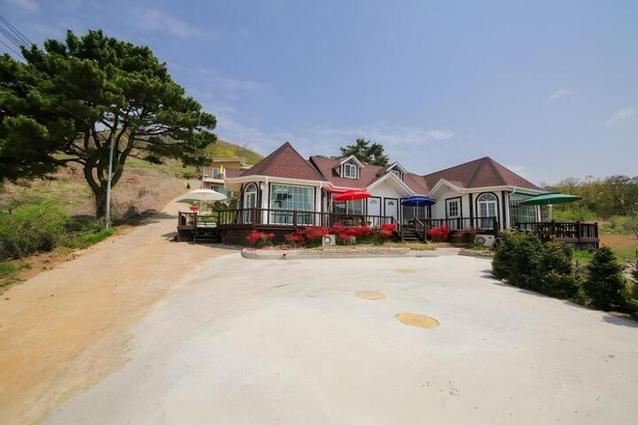Ari House