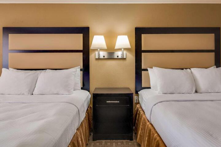 2 Queen Beds Pet Friendly Bathtub Accessible (6 of 12)