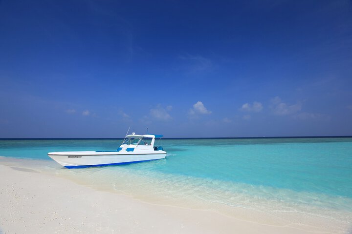 Beach 349 of 376