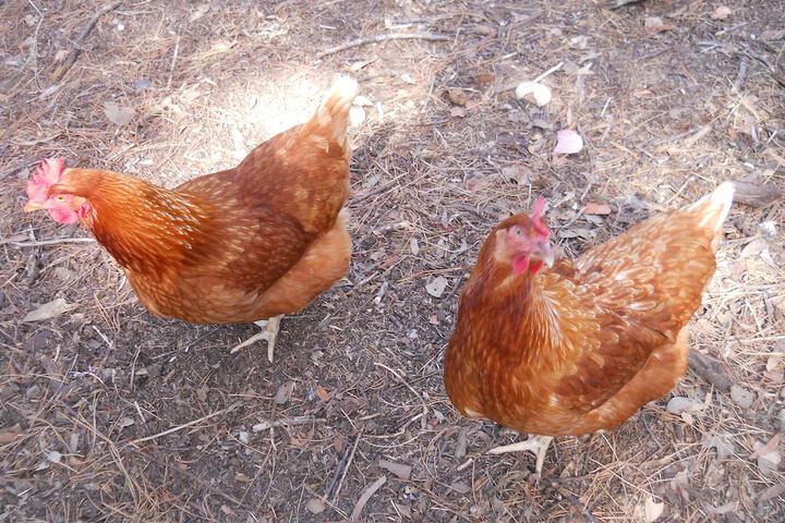 Childrens Activities 23 of 31