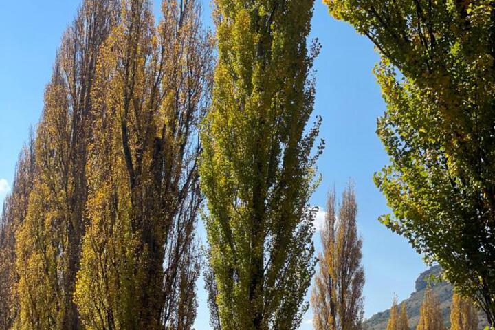 Spa and Wellness Pictures