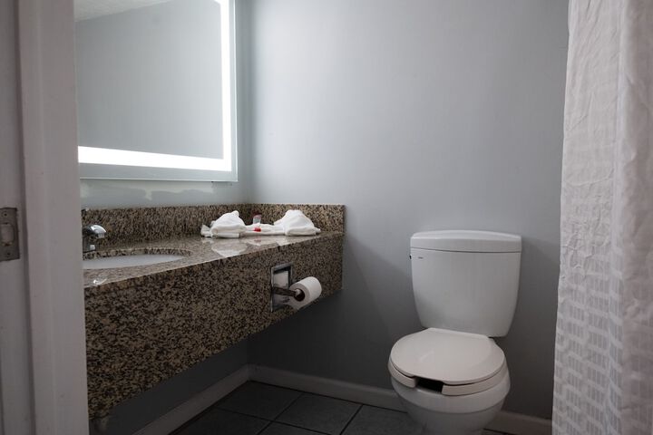 1 King Bed Pet Friendly Accessible (65 of 90)