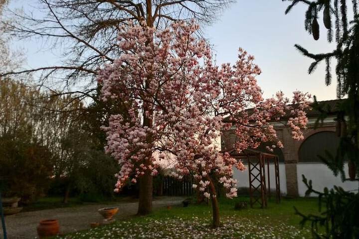 Agriturismo Cipolli e Podò Corte Carlini in Mantua