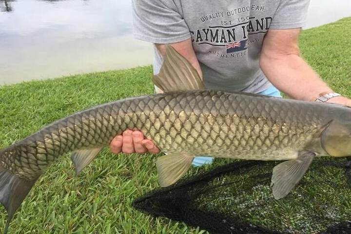 Outdoor Activities 33 of 42