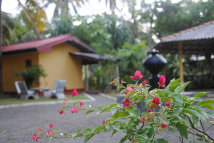 Hotel Exterior 24 of 48