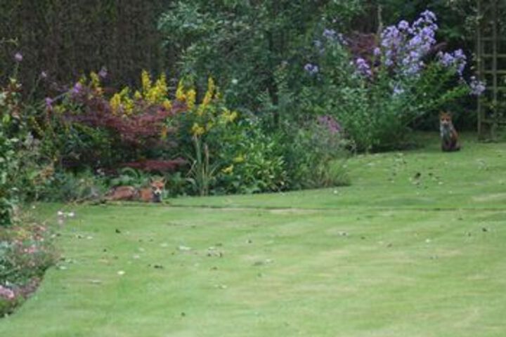 Fitness Center Photo