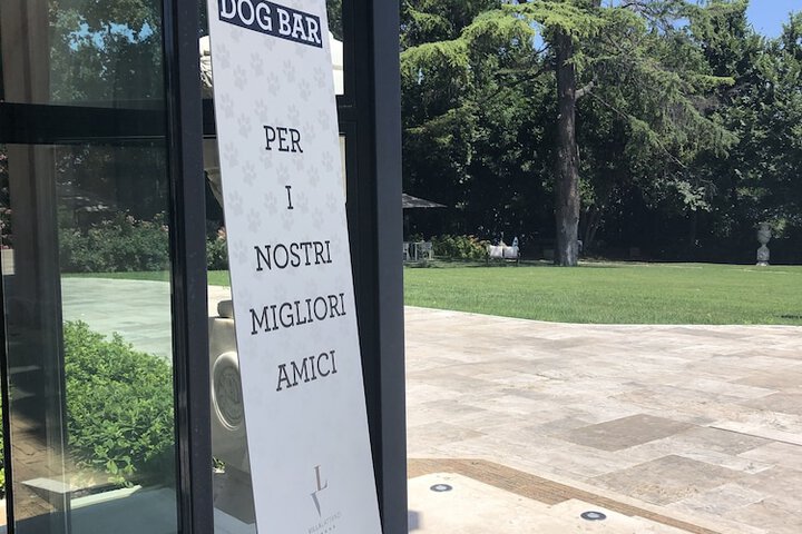 Pet Friendly 38 of 71