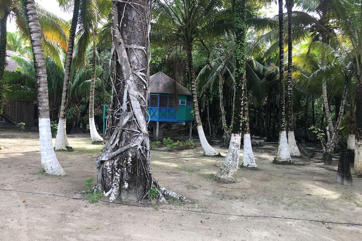 Room 9 of 54