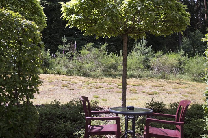 Terrace/Patio 12 of 40
