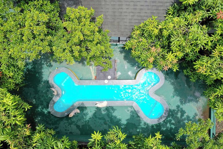 Hotel 106 of 119