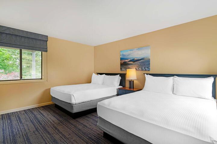 Suite 1 King Bed Second Floor Sofa Bed Kitchen Separate Living Area WiFi Full Breakfast (6 of 34)