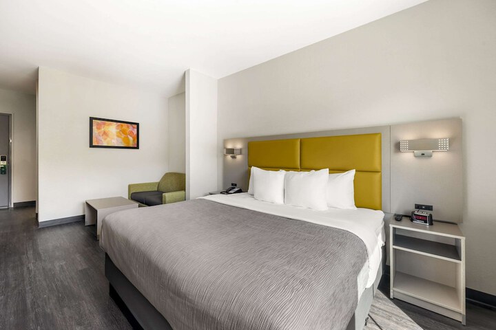 1 King Bed (3 of 15)
