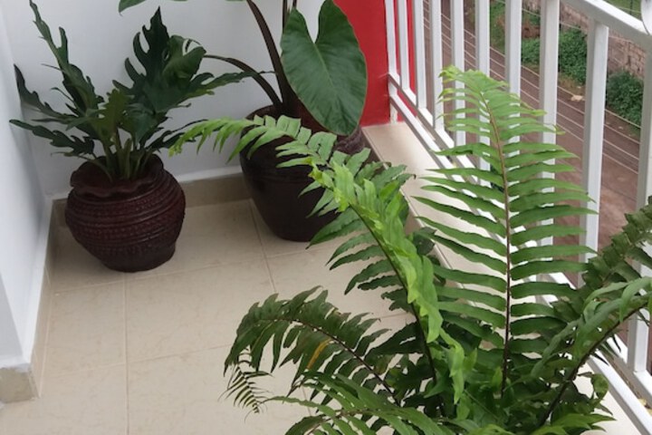 Terrace/Patio 4 of 11