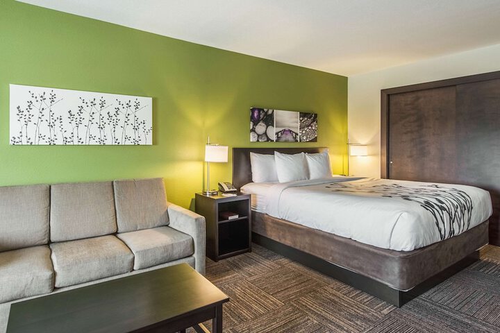 1 King Bed Accessible (8 of 23)