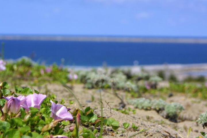 General 41 of 50