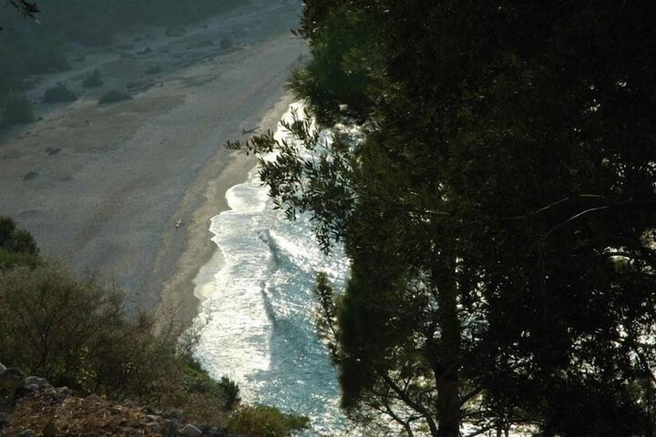 Beach 34 of 44