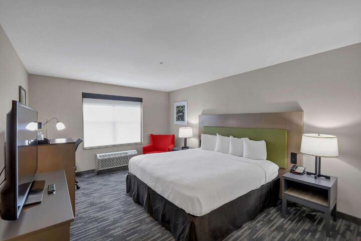 1 King Bed (8 of 10)