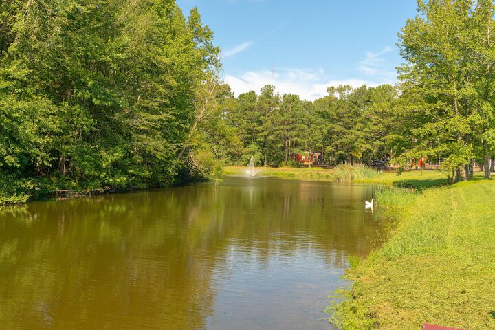 Property Grounds 18 of 18