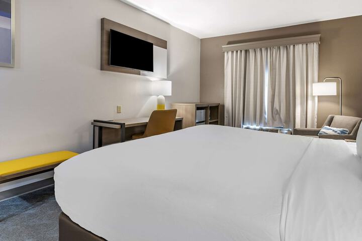 1 King Bed (15 of 17)