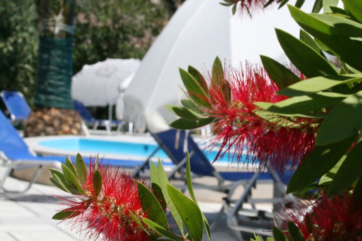 Pool Hotel