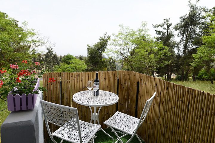 Terrace/Patio 7 of 11