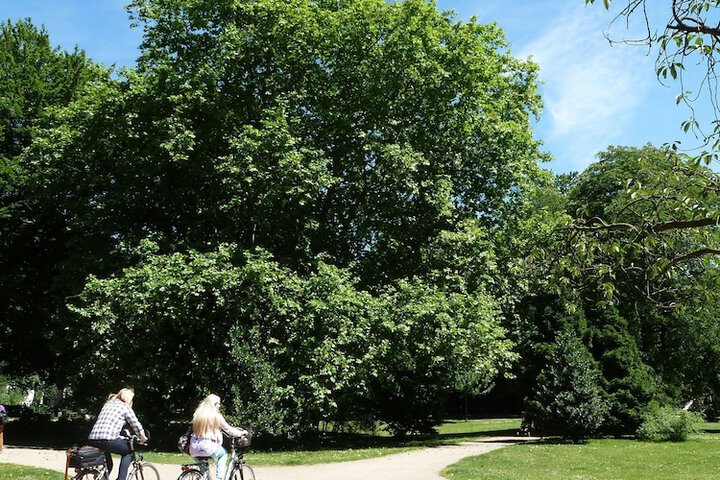 Bicycling