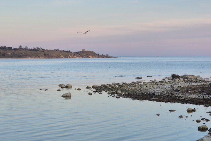 Beach 119 of 138