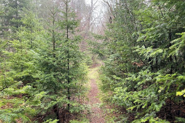 Outdoor Activities 32 of 50