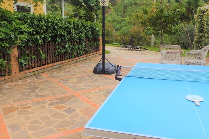 Basketball court