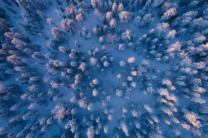 Spa and Wellness Pictures