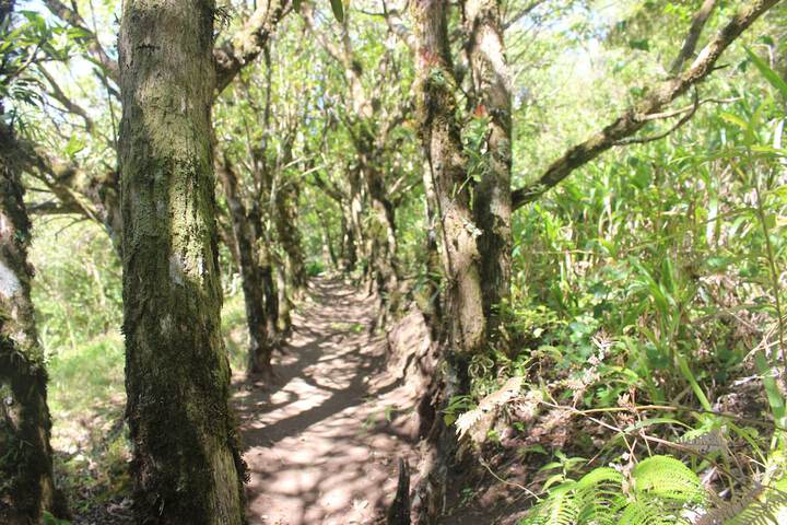 Hiking