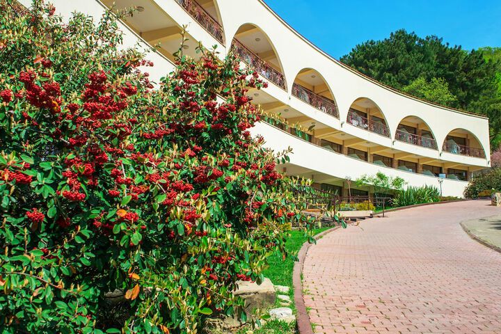 Russky Dom Divny 43°39° Spa Hotel