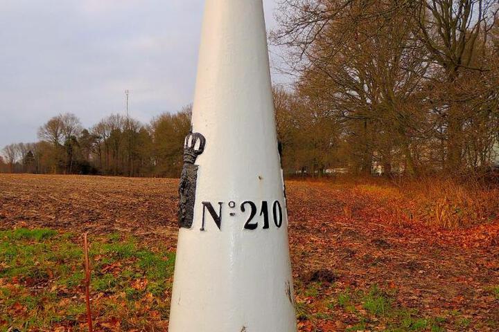 General 7 of 25