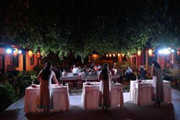 Yinsheng Tea Manor