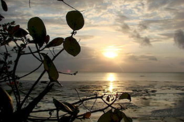 Beach 9 of 63