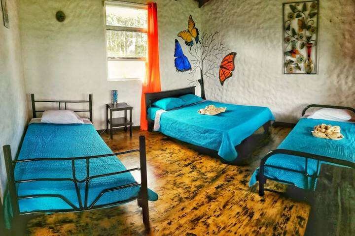 Room 14 of 17