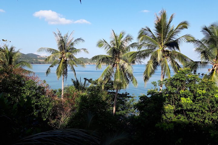 Hotel View 148 of 149