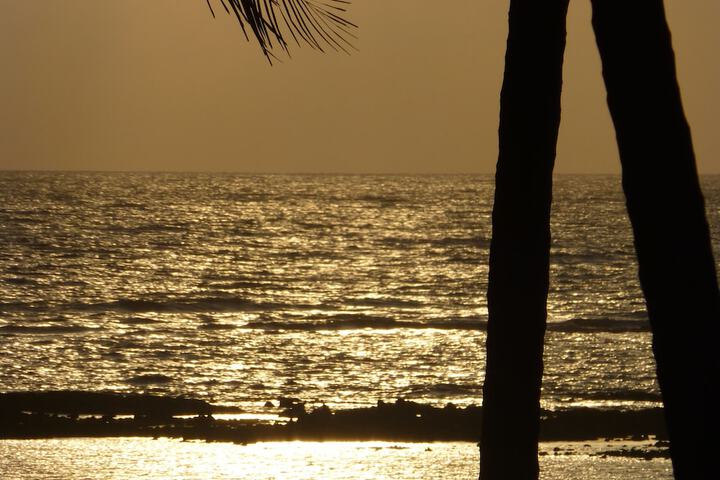 Beach 194 of 233